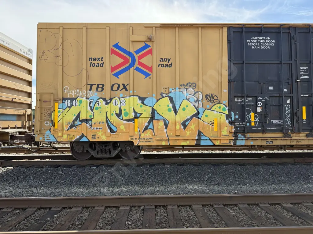 TBOX667508 - NORTH-AMERICA