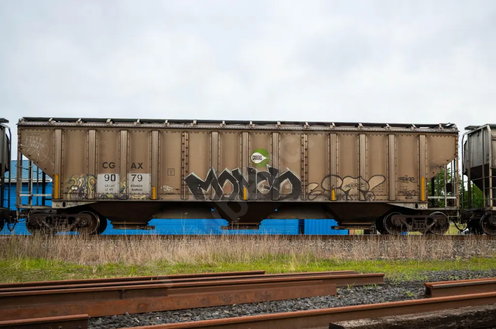 CGAX9079 - NORTH-AMERICA