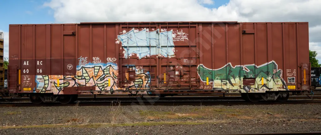AERC6006 - NORTH-AMERICA