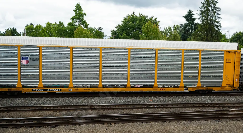 TTGX853081 - NORTH-AMERICA
