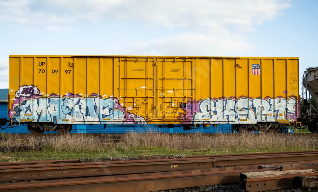 UP700997 - NORTH-AMERICA