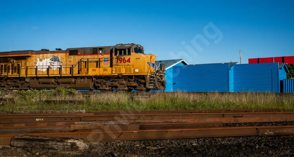 UP7964 - NORTH-AMERICA