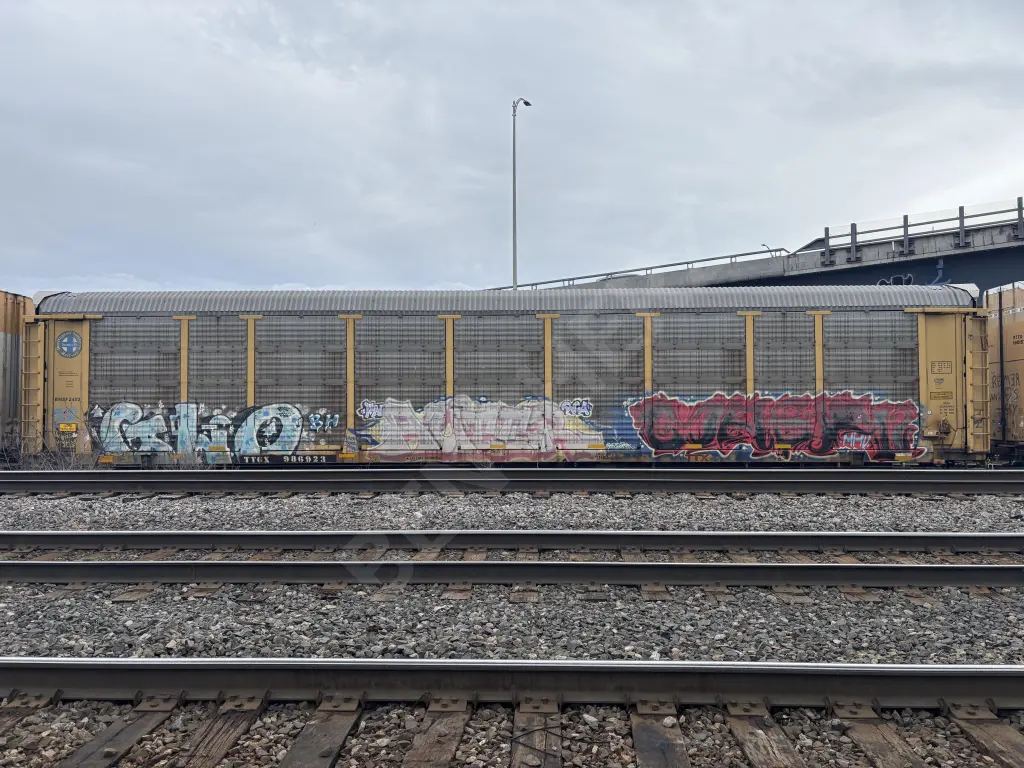 TTGX986923 - NORTH-AMERICA