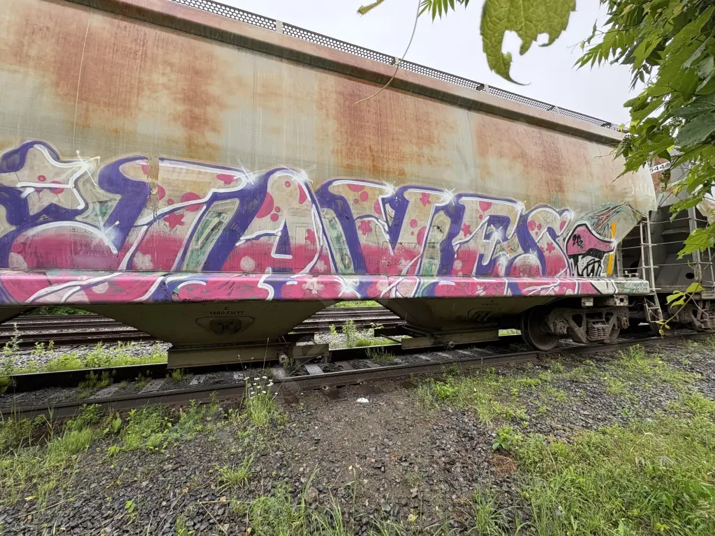 CRDX15375 - CANADA