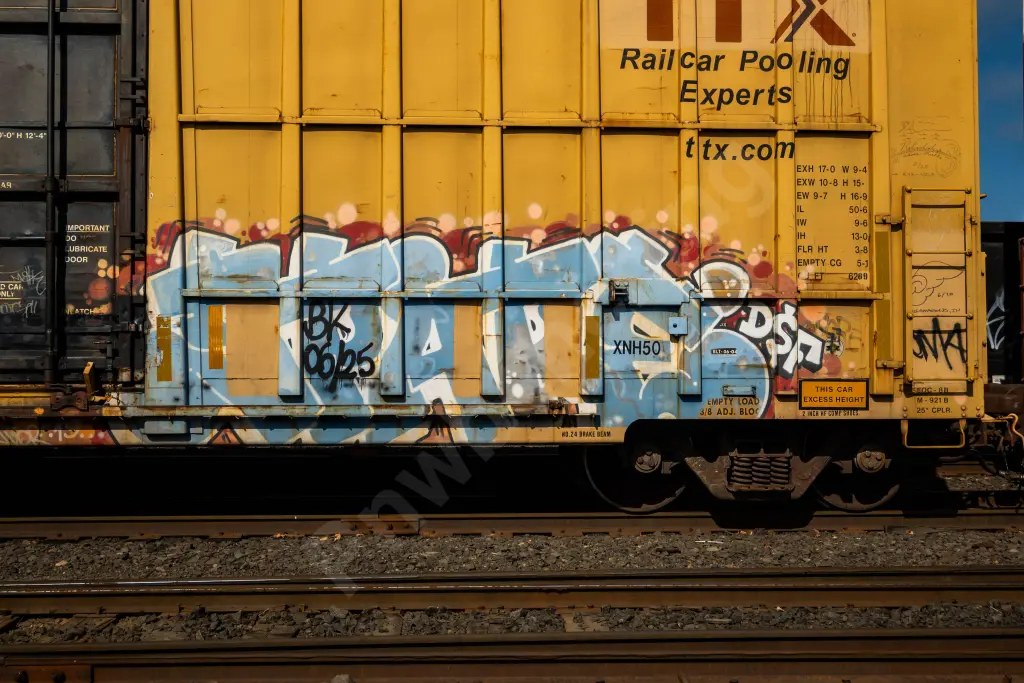 FBOX504133 - NORTH-AMERICA