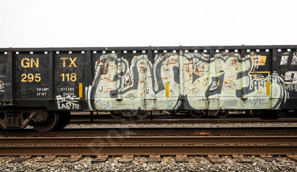 GNTX295118 - NORTH-AMERICA