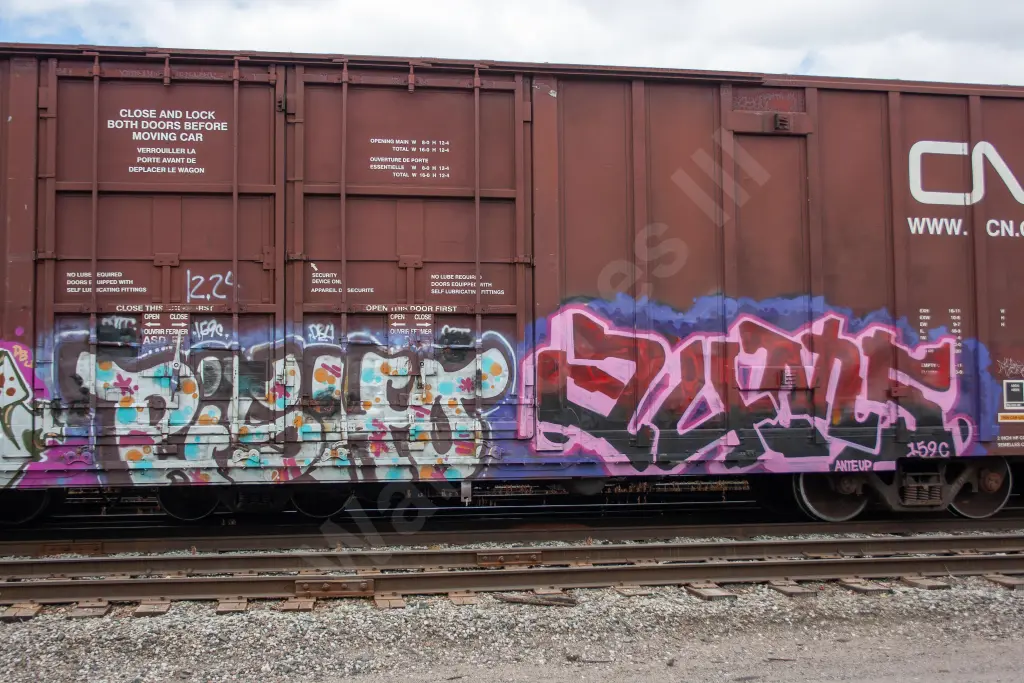 DWC793159 - NORTH-AMERICA