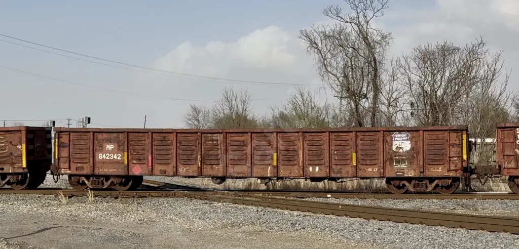 MP842342 - NORTH-AMERICA