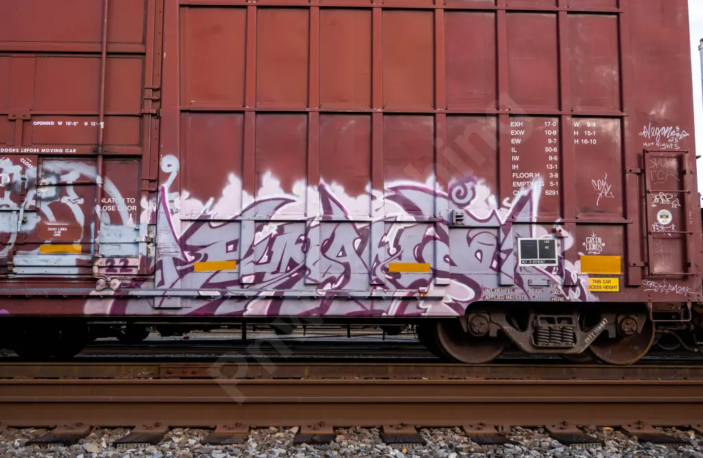 BKTY156647 - NORTH-AMERICA