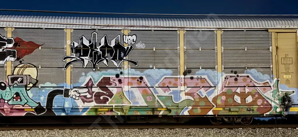 CN704507 - NORTH-AMERICA