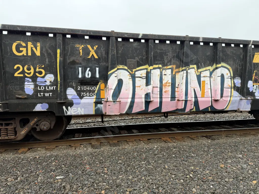 GNTX295161 - NORTH-AMERICA