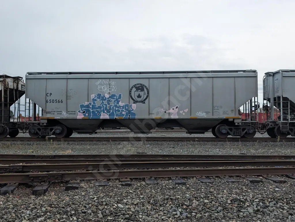 CP650566 - NORTH-AMERICA