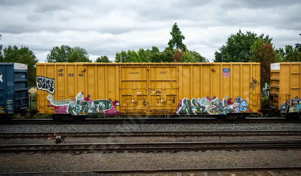 UP700346 - NORTH-AMERICA