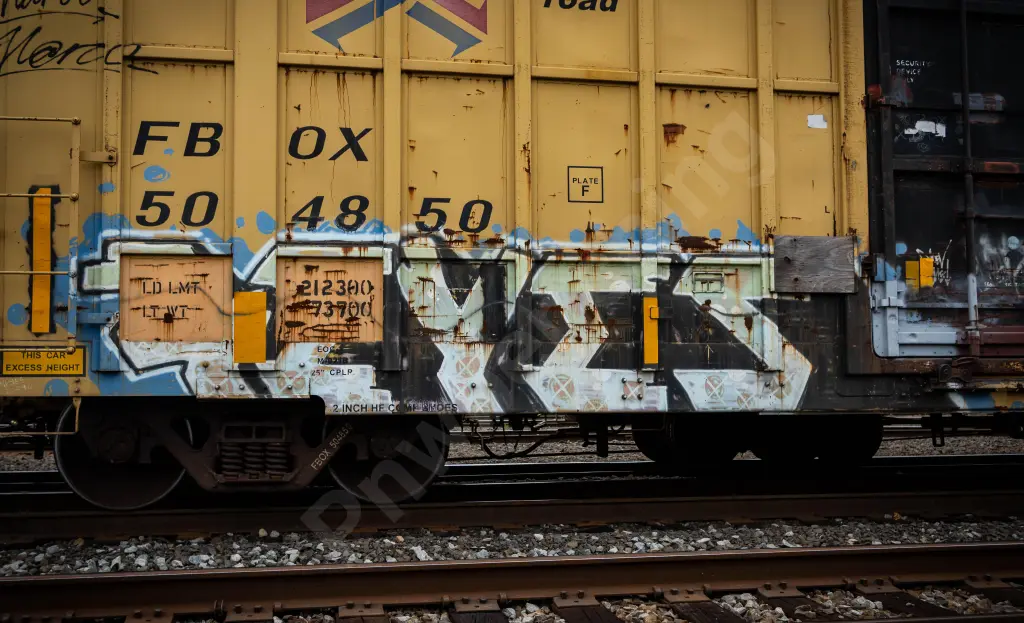 FBOX504850 - NORTH-AMERICA
