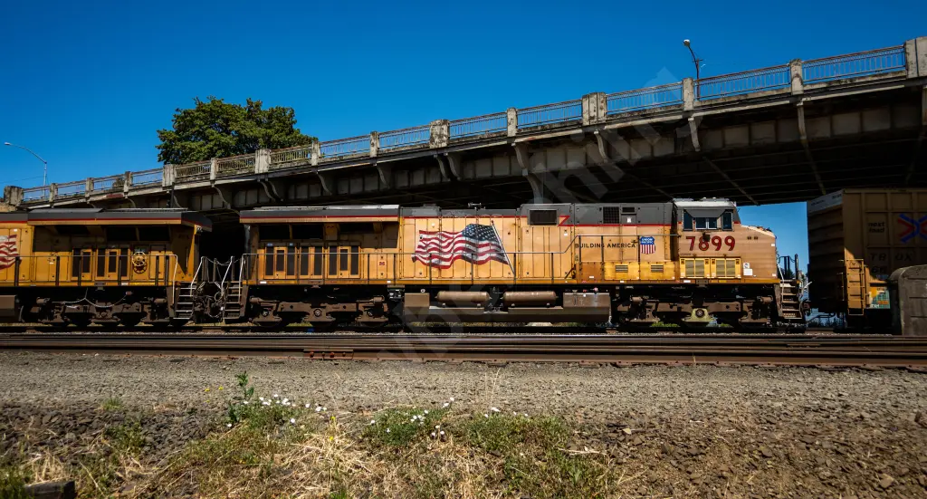 UP7899 - NORTH-AMERICA