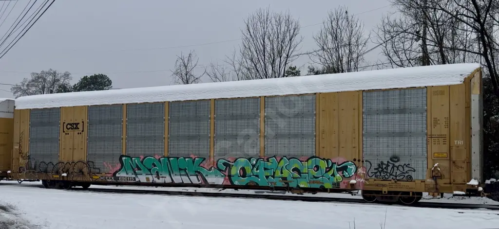 CTTX690115 - NORTH-AMERICA