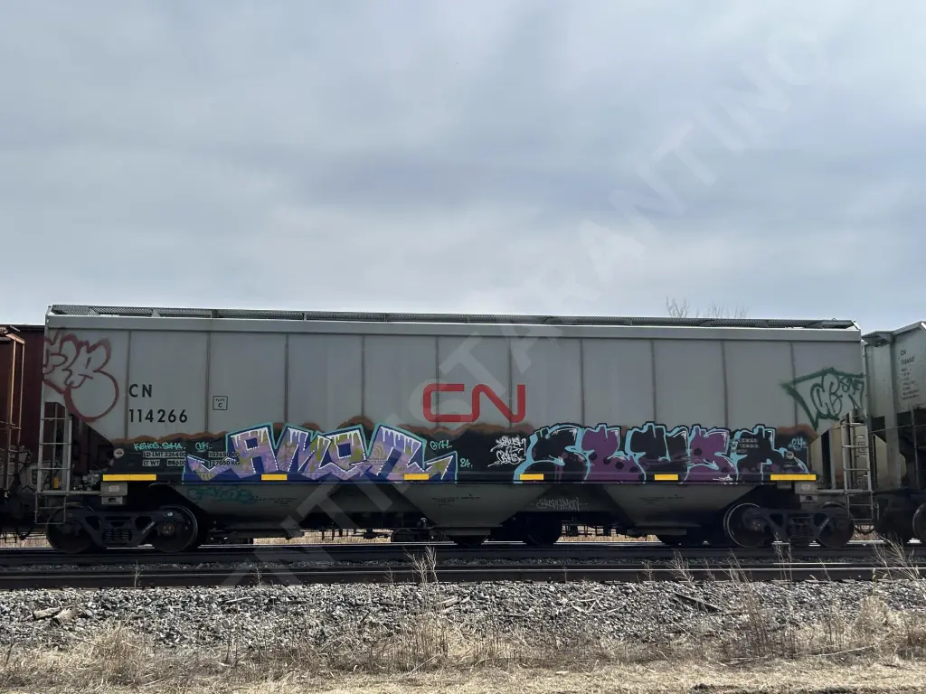 CN114266 - NORTH-AMERICA