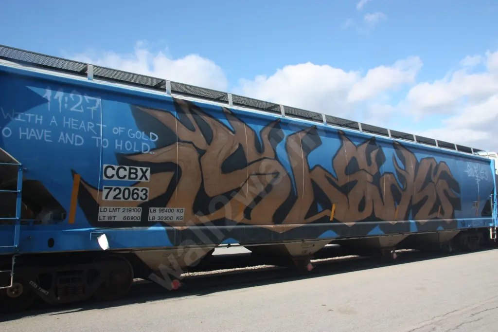 CCBX72063 - NORTH-AMERICA