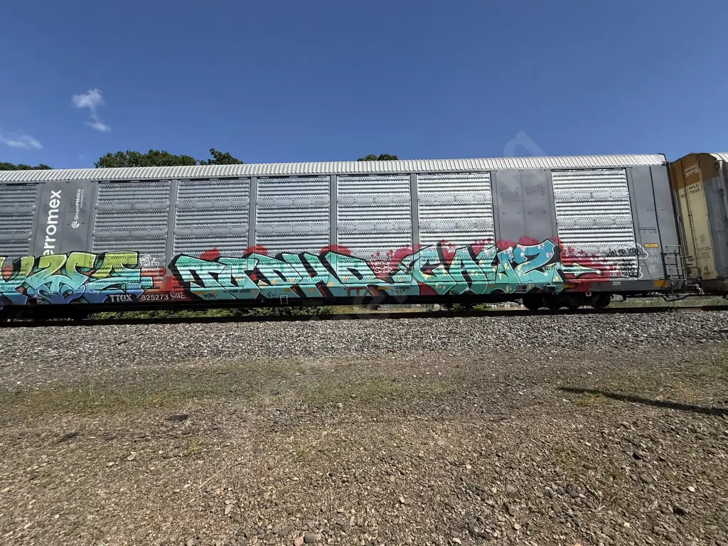 TTGX825273 - NORTH-AMERICA
