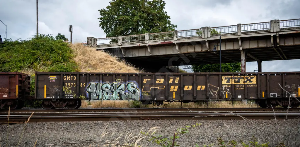 Train photo