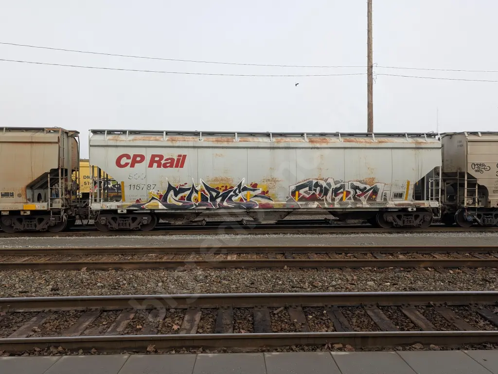 SOO116787 - NORTH-AMERICA