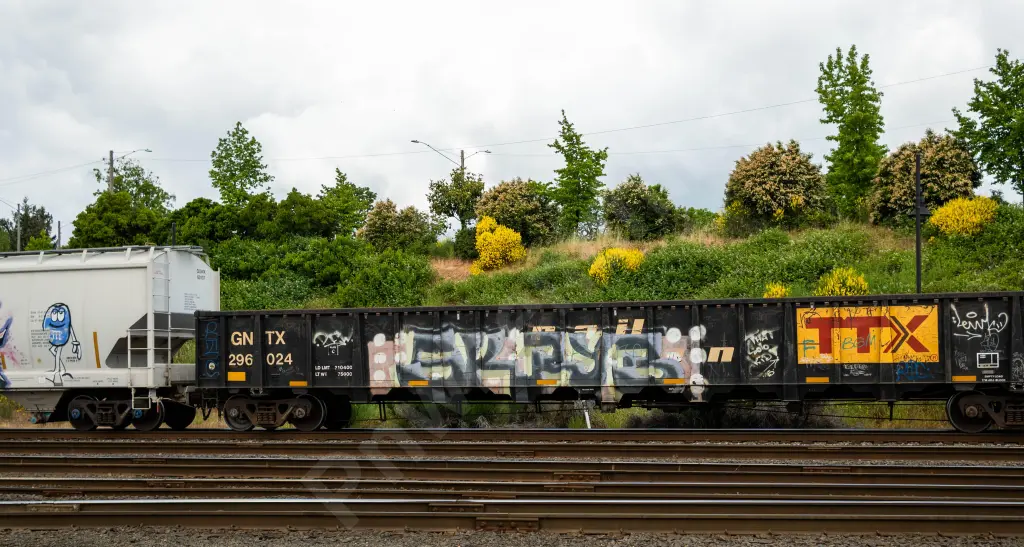 GNTX296024 - NORTH-AMERICA