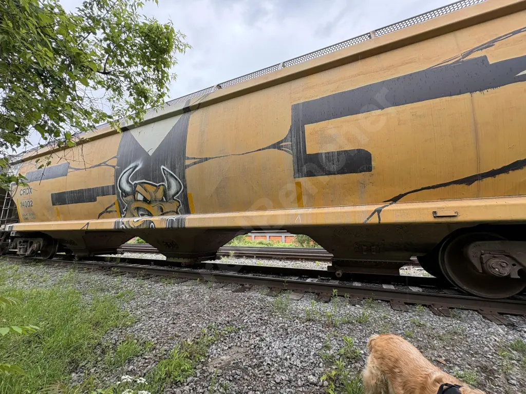CRDX14002 - NORTH-AMERICA
