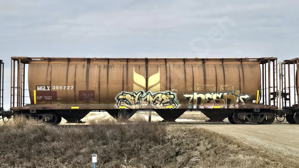 MGLX395727 - NORTH-AMERICA