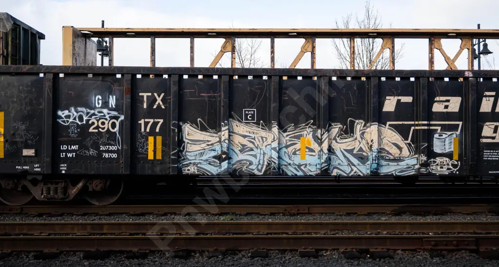 GNTX290177 - NORTH-AMERICA
