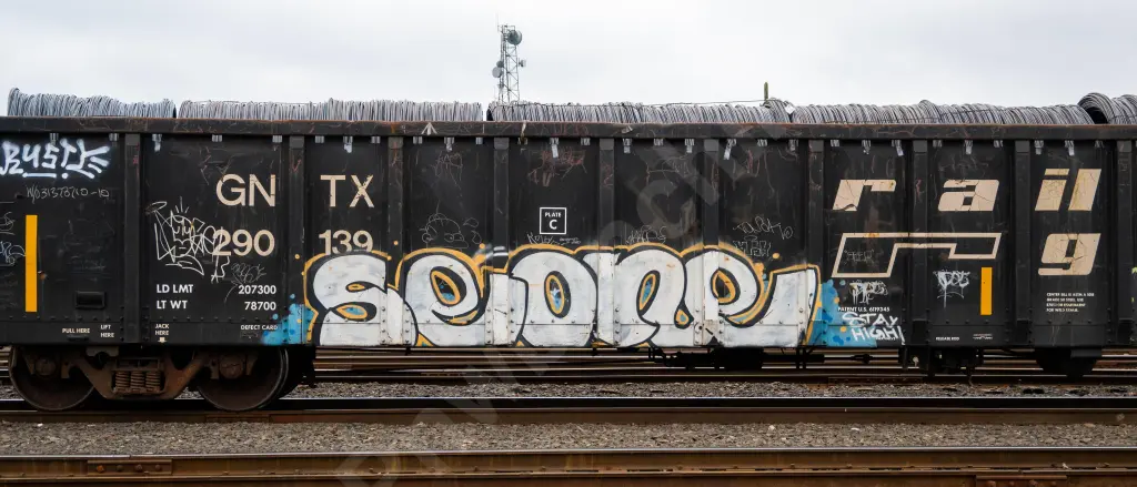 GNTX290139 - NORTH-AMERICA