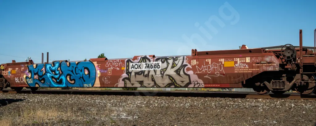 AOK74666 - NORTH-AMERICA
