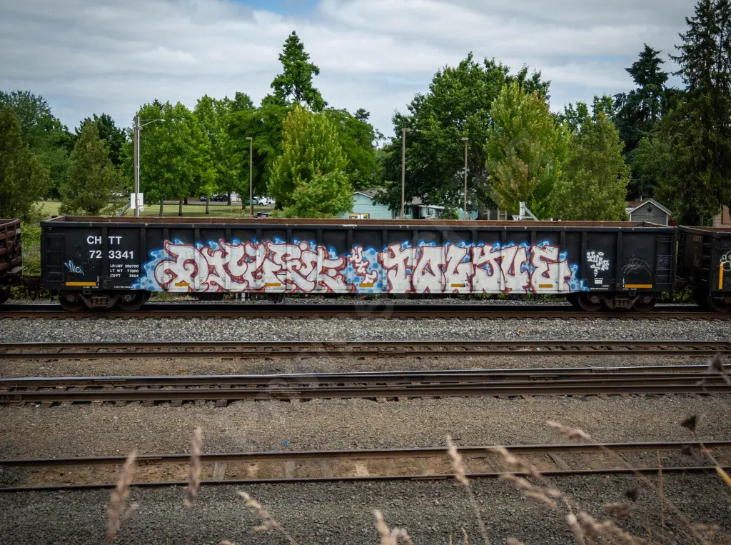 CHTT723341 - NORTH-AMERICA