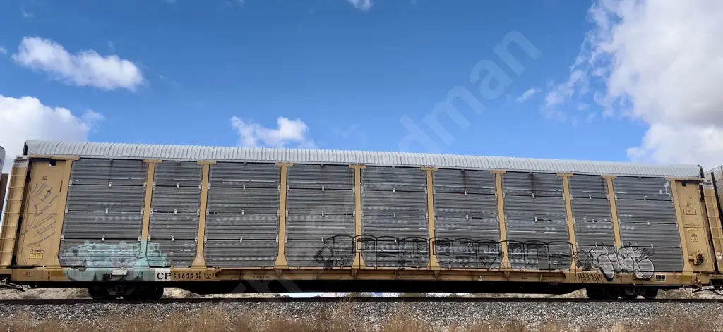 CP556325 - NORTH-AMERICA