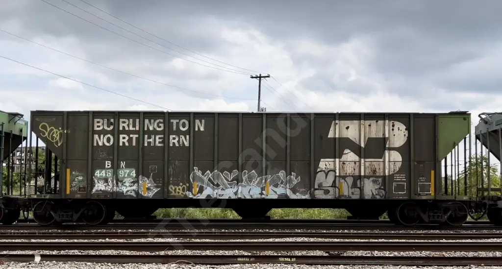 BN446974 - NORTH-AMERICA