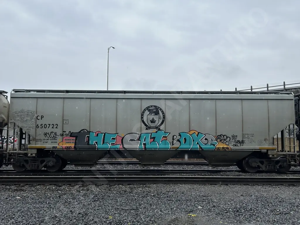 CP650722 - NORTH-AMERICA
