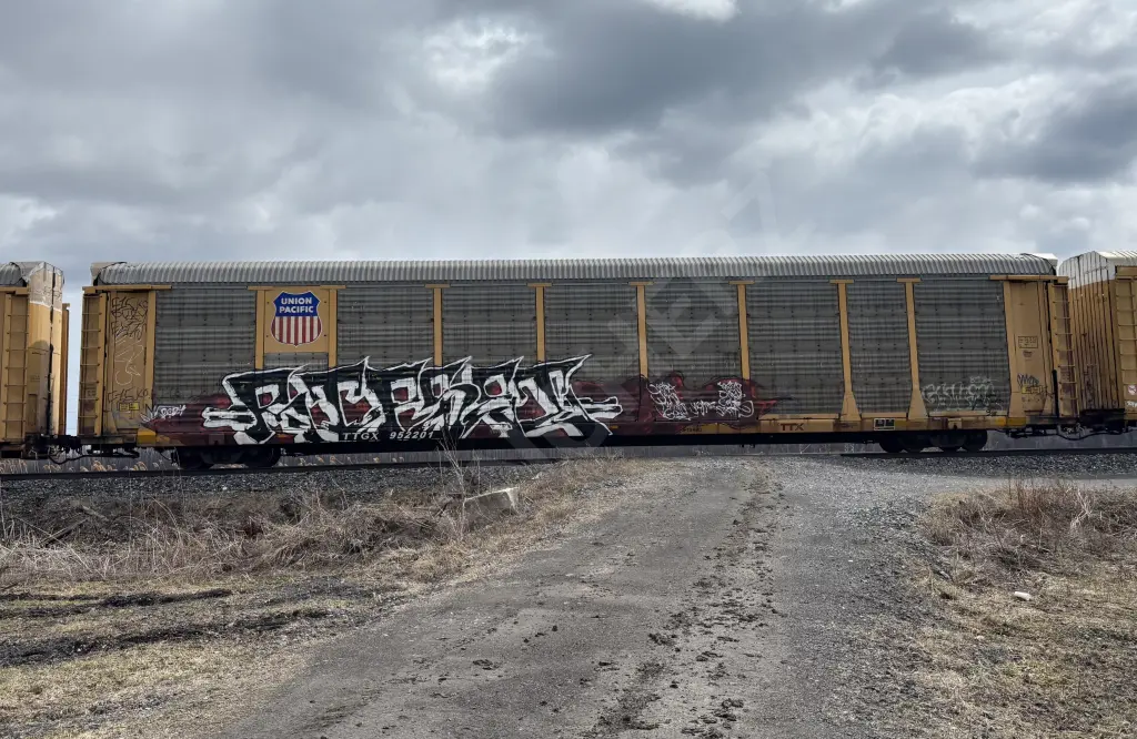 TTGX952201 - NORTH-AMERICA