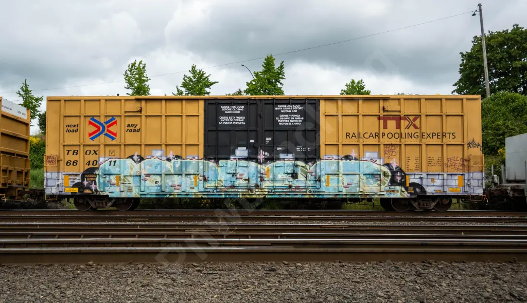 TBOX664011 - NORTH-AMERICA