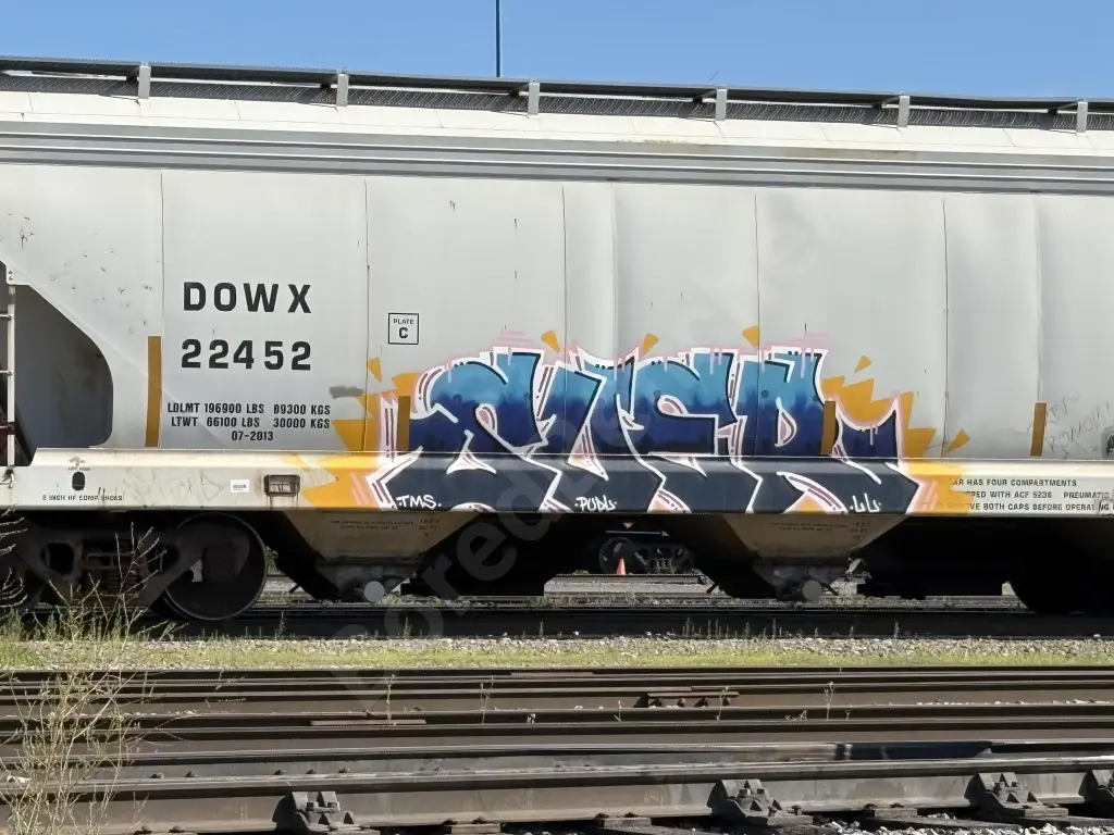DOWX22452 - NORTH-AMERICA
