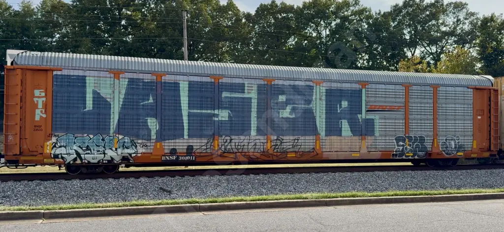 BNSF301011 - NORTH-AMERICA