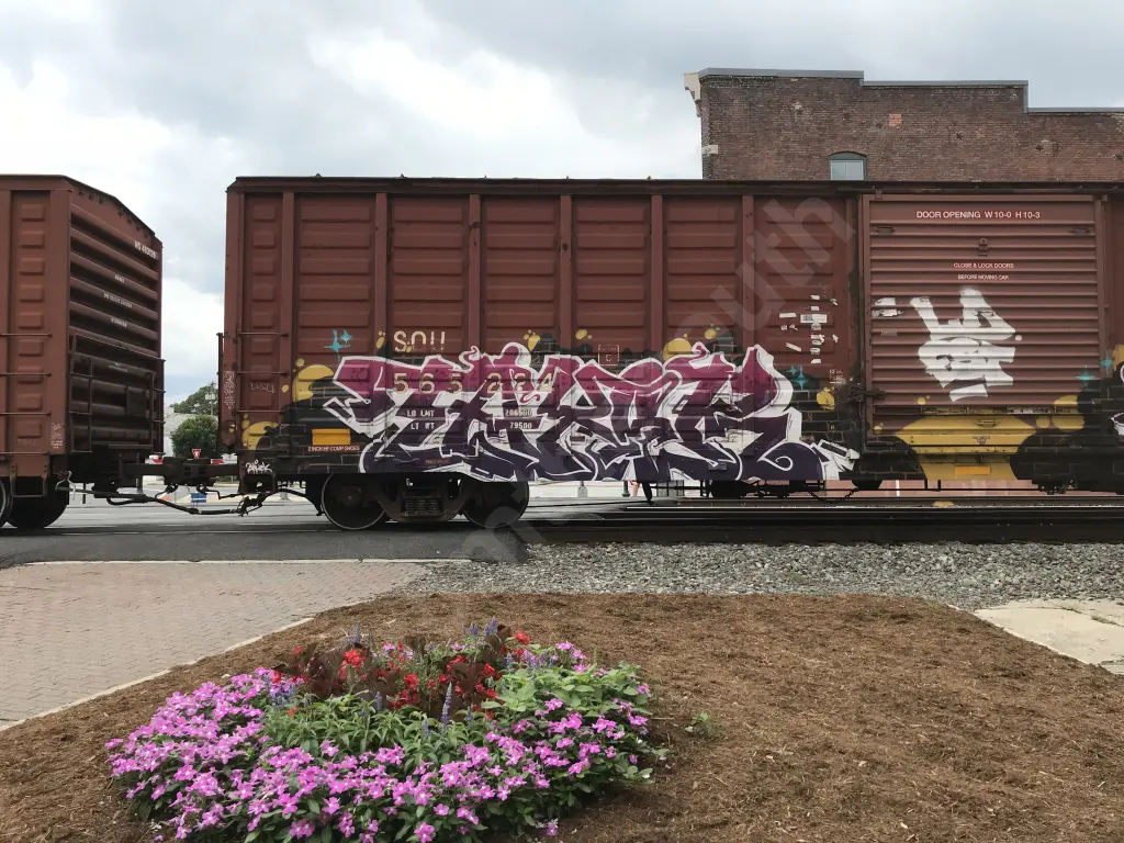 SOU565224 - NORTH-AMERICA