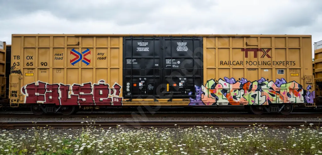 TBOX636590 - NORTH-AMERICA