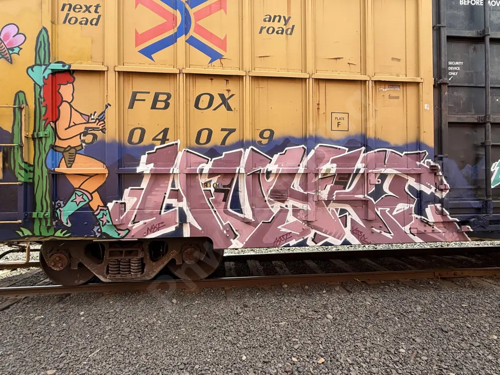 FBOX504079 - NORTH-AMERICA