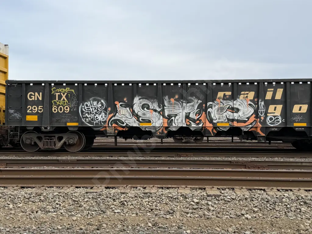GNTX295609 - NORTH-AMERICA