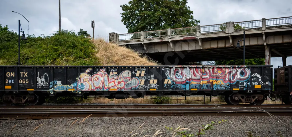 GNTX295865 - NORTH-AMERICA