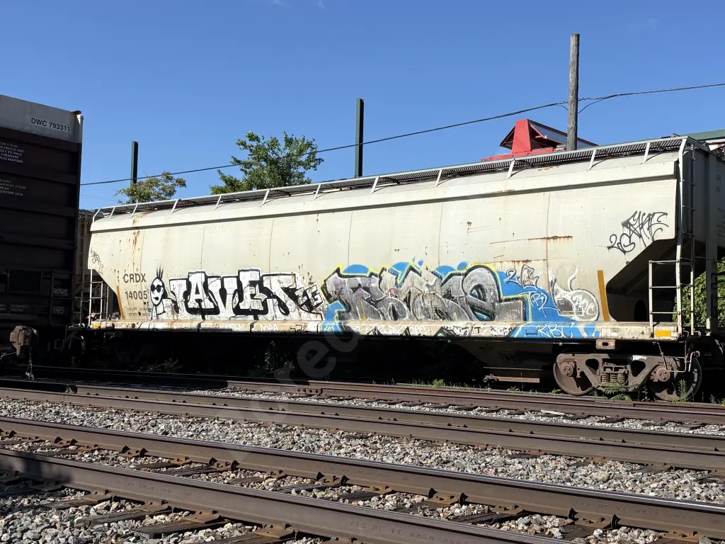 CRDX14005 - NORTH-AMERICA