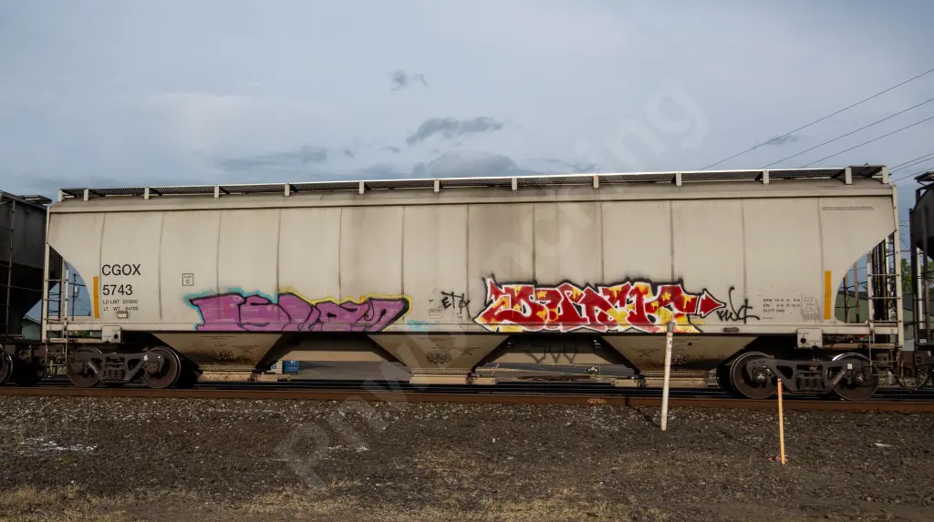 CGOX5743 - NORTH-AMERICA