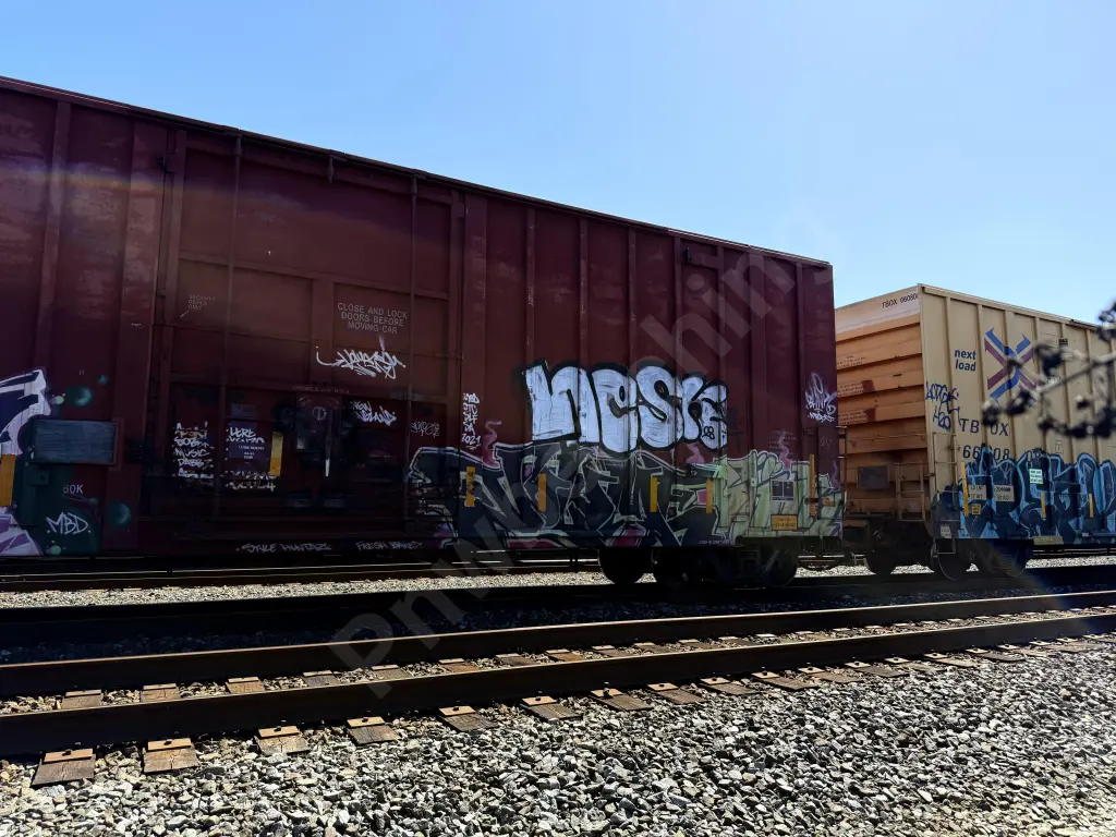 NOKL560506 - NORTH-AMERICA