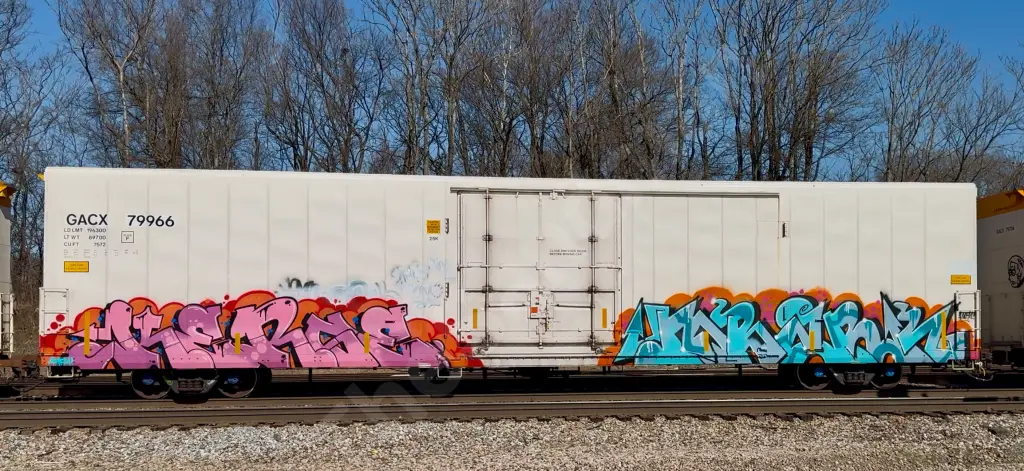 GACX79966 - NORTH-AMERICA