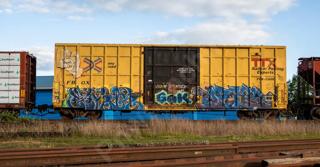 FBOX504828 - NORTH-AMERICA