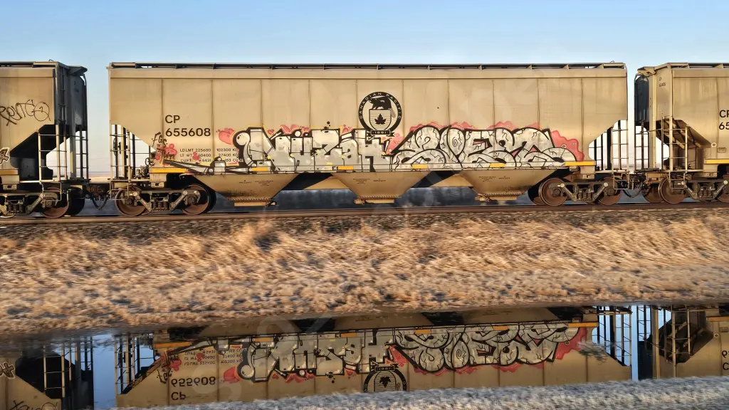 CP655608 - NORTH-AMERICA